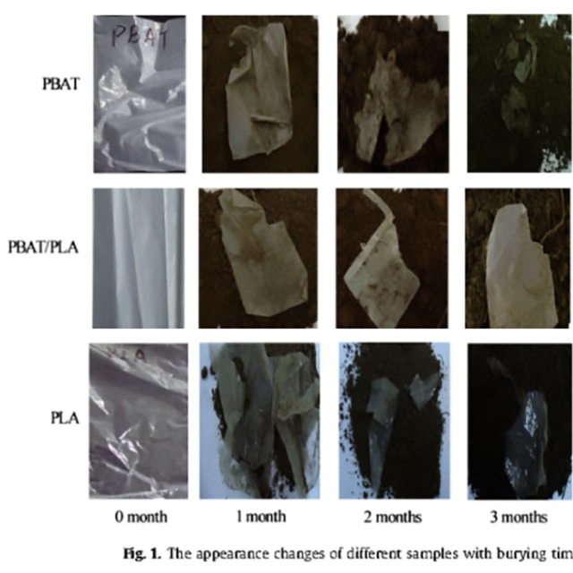 生物降解塑料在土壤里可以完全降解吗？